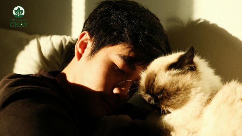 cau-hoi-thuong-gap-faq