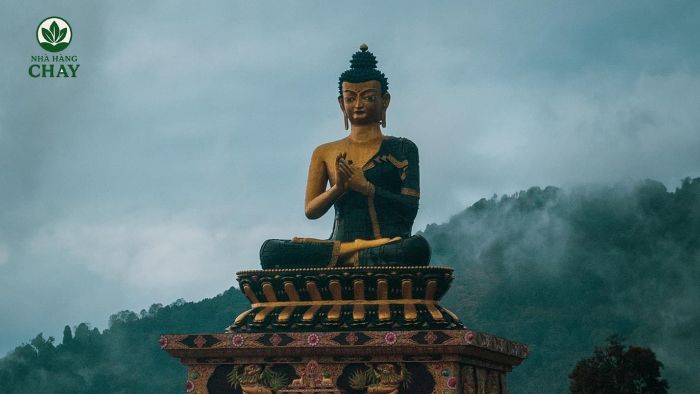 cau-hoi-thuong-gap-faq