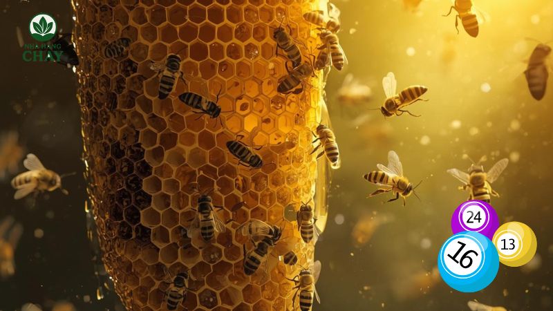 cau-hoi-thuong-gap-faq