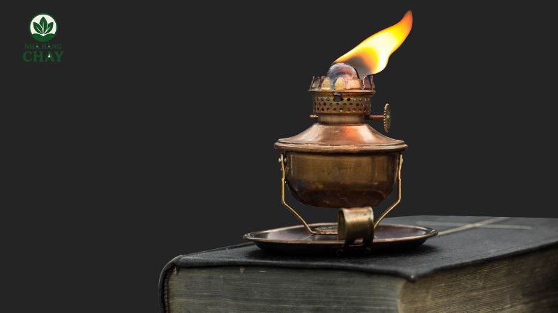 huong-dan-chi-tiet-ve-lua-chon-su-dung-va-bao-quan-den-dau