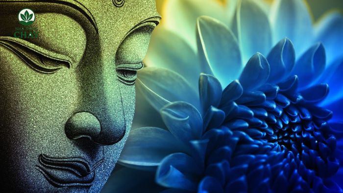 tuyen-tap-anh-phat-phap-chat-luong-cao-theo-phap-mon