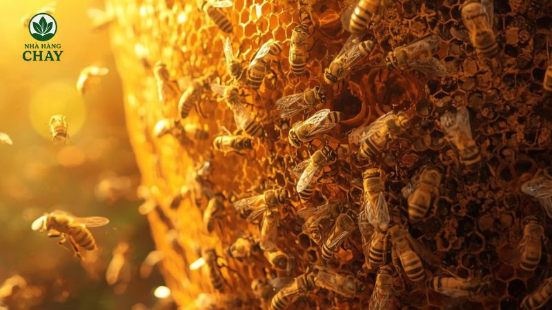 y-nghia-chung-khi-mo-thay-to-ong