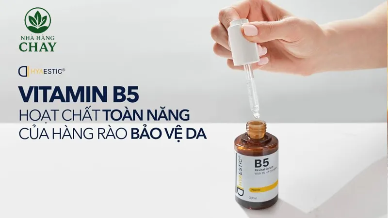 Tìm Hiểu Về Vitamin B5: Vai Trò, Đặc Điểm Và Lợi Ích
