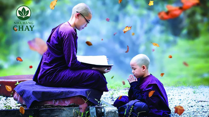 Xuất Gia Là Gì? Khái Niệm, Ý Nghĩa Và Vai Trò Của Xuất Gia Trong Phật Giáo