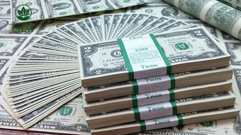 Câu hỏi thường gặp về tiền âm phủ