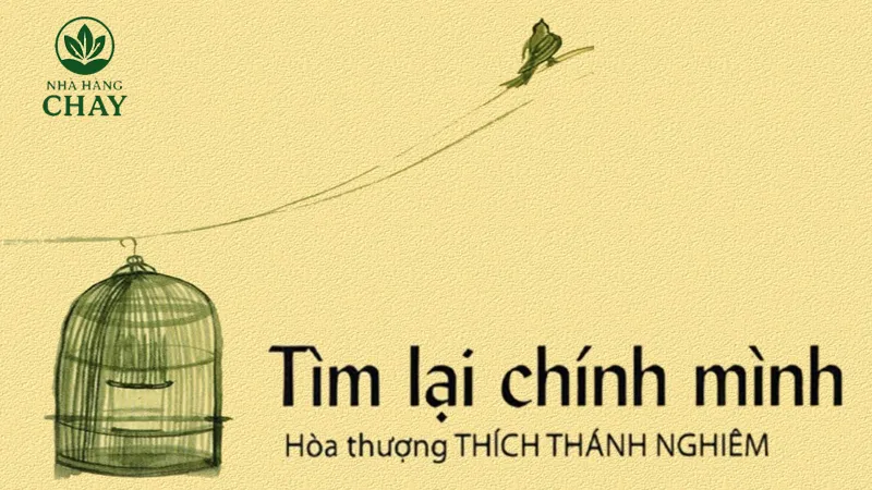 Tìm lại chính mình là gì? Ý nghĩa thực sự cho cá nhân bạn