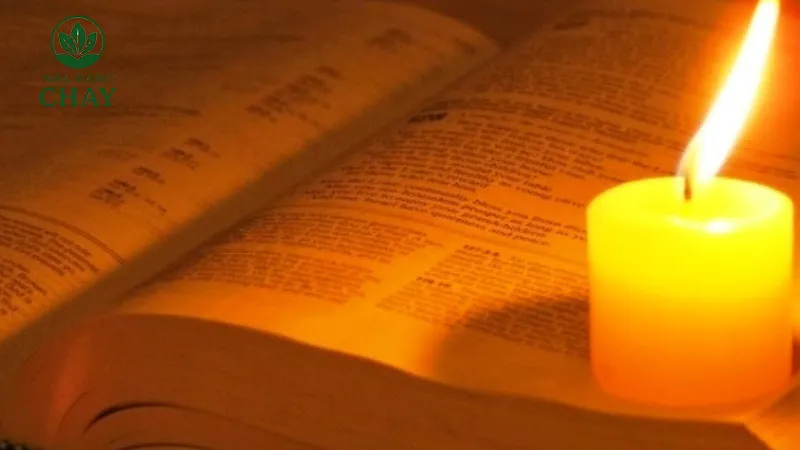 Tỉnh thức là gì? 