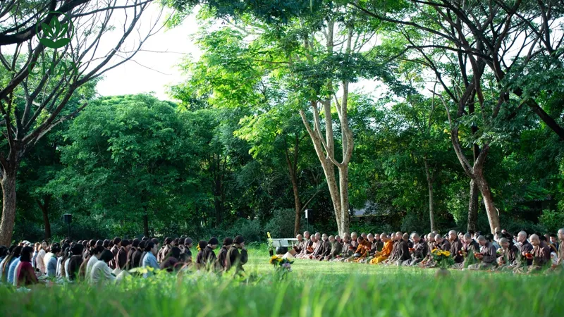 Lợi ích thiết thực của tỉnh thức cho đời sống cá nhân