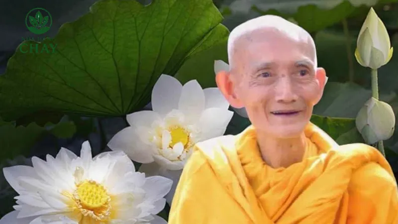 Ý nghĩa của tịnh xá Ngọc Vân trong văn hóa hiện đại – Những bài học chuyển hóa