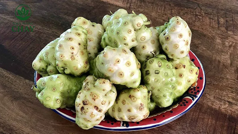 Thị trường, giá bán và lưu ý chọn mua trái nhàu đạt chuẩn