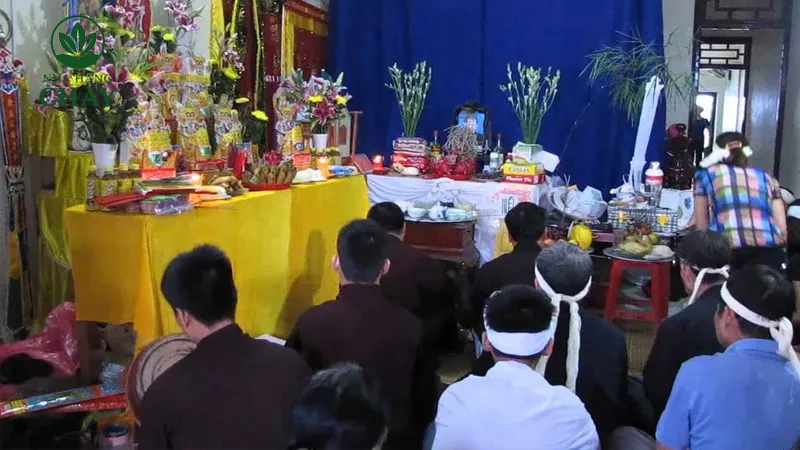 Trùng tang thường bắt ai? Góc nhìn phong tục và phân tích đối tượng dễ gặp