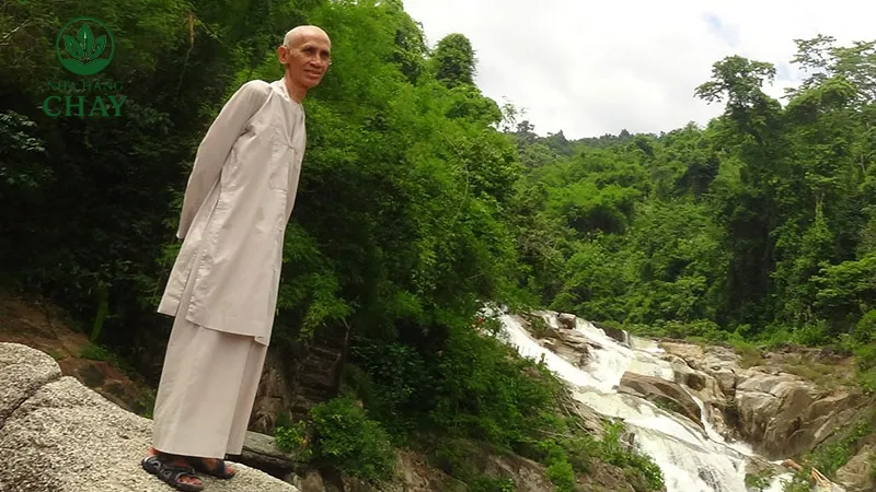 Tuệ Sỹ – Đức Hạnh, Trí Tuệ Và Hành Trình Cuộc Đời